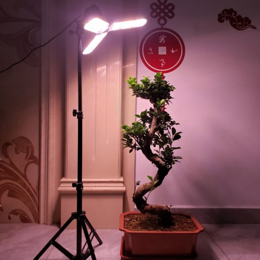 Soporte de bombilla de 2M, enc - Stand Lighting Photography reseña y precio